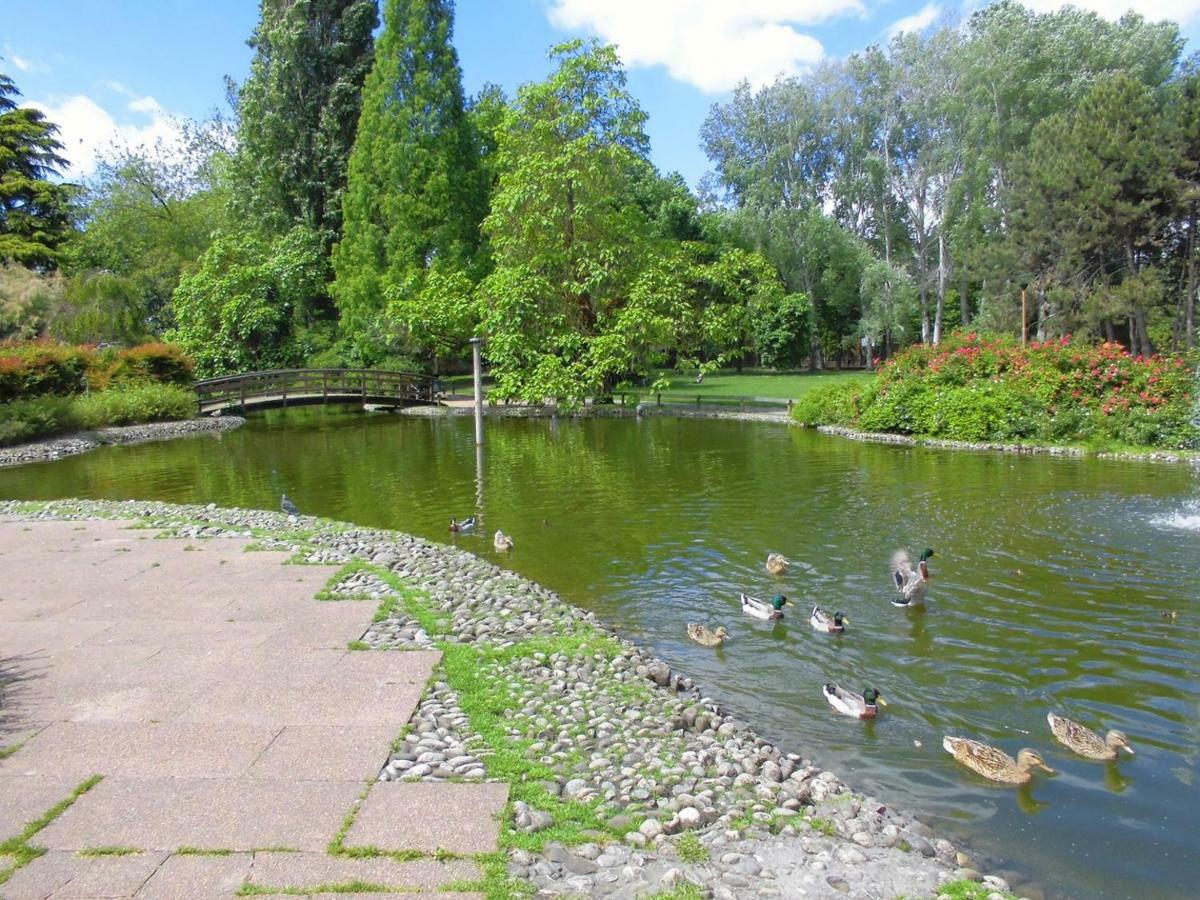 Apartament Solo Tuo Mestre Zewnętrze zdjęcie
